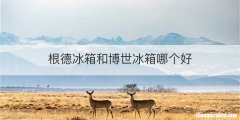 根德冰箱和博世冰箱哪个好