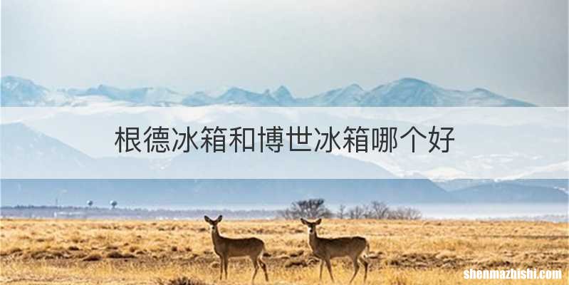 根德冰箱和博世冰箱哪个好