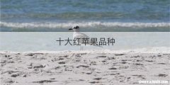 十大红苹果品种