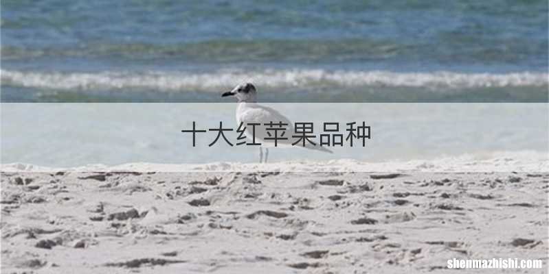 十大红苹果品种
