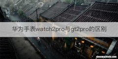 华为手表watch2pro与gt2pro的区别