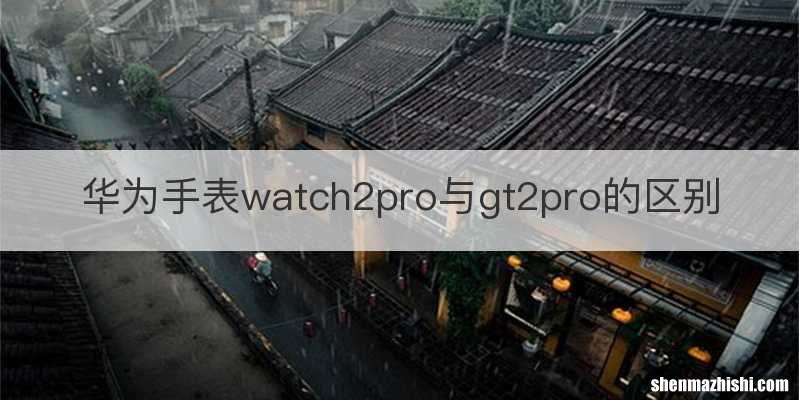 华为手表watch2pro与gt2pro的区别