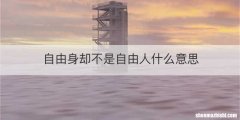 自由身却不是自由人什么意思