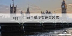 oppor11st手机没有语音唤醒