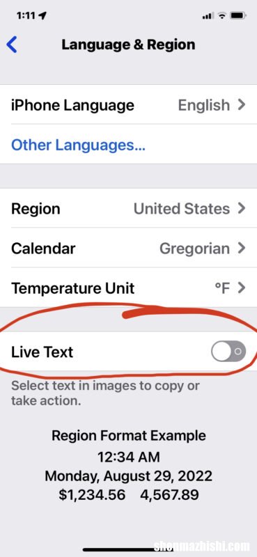 苹果教程 如何在iPhone和iPad上禁用实时文本