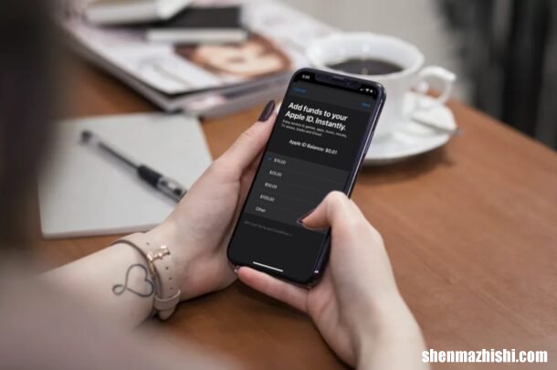 苹果iPhone和iPad怎么充钱，Apple帐户添加资金教程