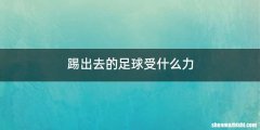 踢出去的足球受什么力