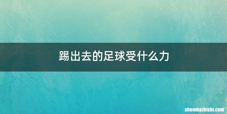 踢出去的足球受什么力