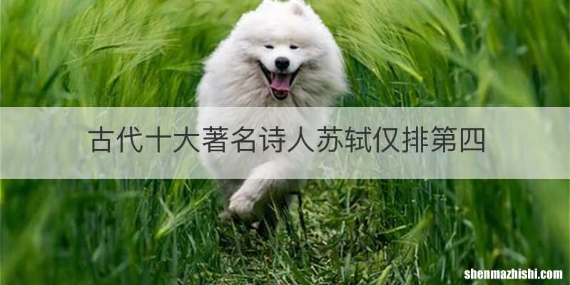 古代十大著名诗人苏轼仅排第四