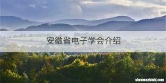 安徽省电子学会介绍