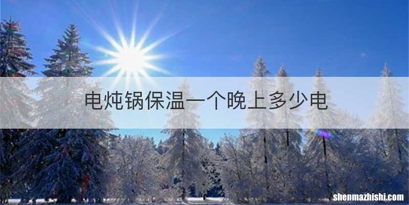 电炖锅保温一个晚上多少电