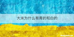 大米为什么有青的和白的