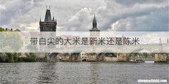 带白尖的大米是新米还是陈米