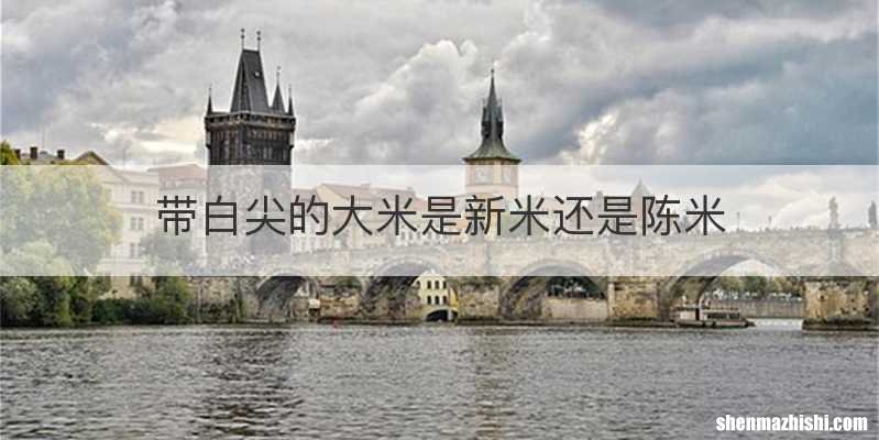带白尖的大米是新米还是陈米
