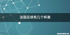 法国足球有几个杯赛