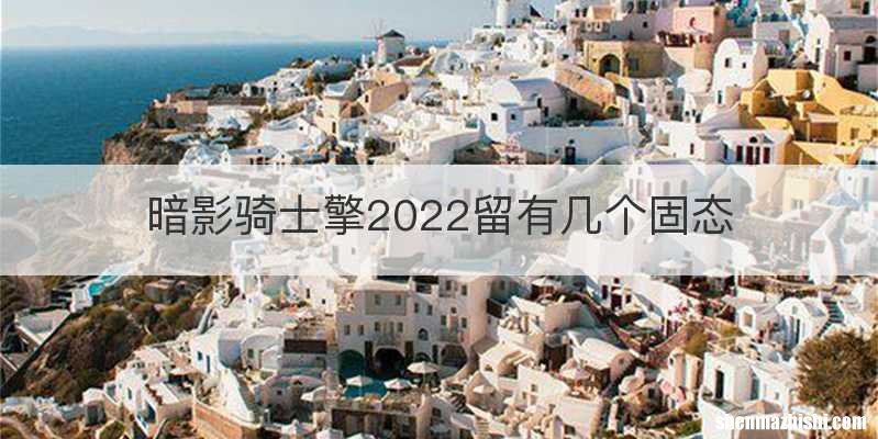 暗影骑士擎2022留有几个固态