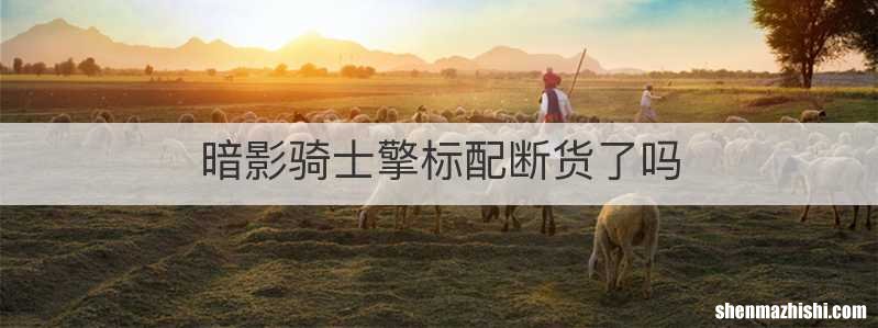 暗影骑士擎标配断货了吗