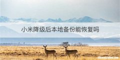 小米降级后本地备份能恢复吗