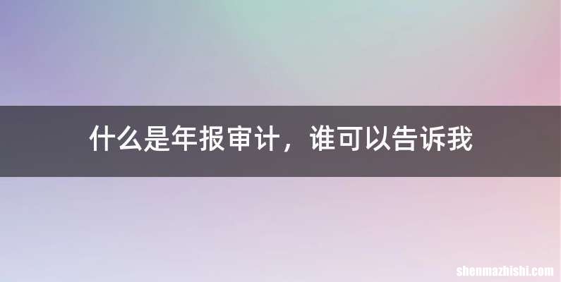 什么是年报审计，谁可以告诉我