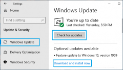 修复：显示驱动程序无法在Windows10中启动错误
