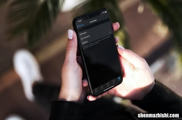 如何在iPhone隐藏WhatsApp“最后一次看到”状态