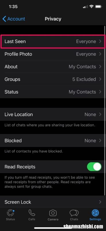 如何在iPhone隐藏WhatsApp“最后一次看到”状态