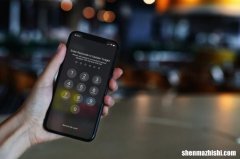 如何取消自动安装iOS和iPadOS更新[苹果教程]