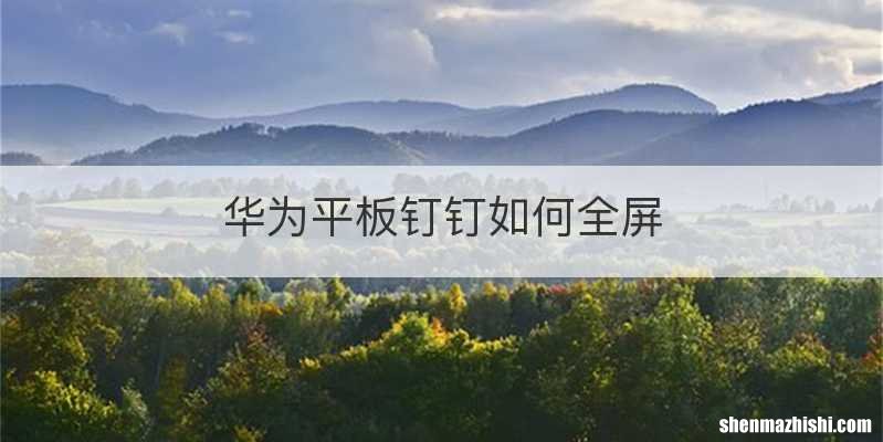 华为平板钉钉如何全屏