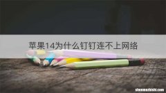 苹果14为什么钉钉连不上网络