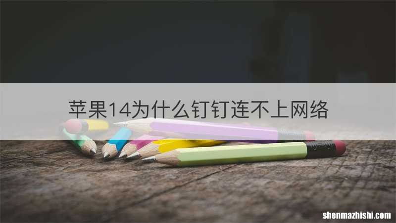 苹果14为什么钉钉连不上网络