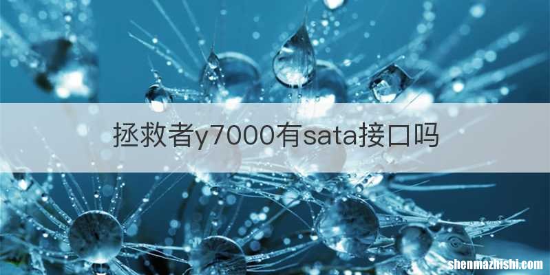 拯救者y7000有sata接口吗
