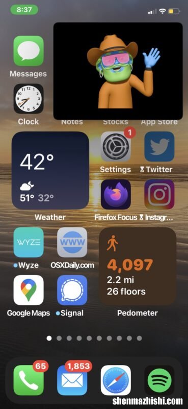 Zoom会议教程 如何在iPhone上将缩放设置为画中画模式