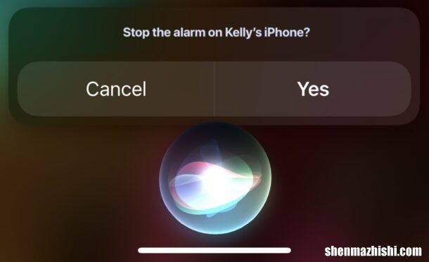 使家庭成员iPhone/iPad上的闹钟静音