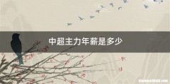 中超主力年薪是多少