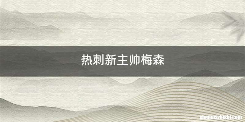 热刺新主帅梅森