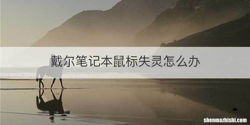 戴尔笔记本鼠标失灵怎么办