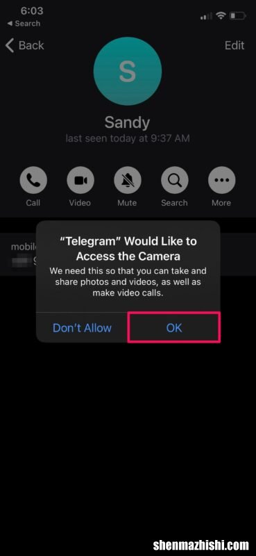 iPhone/iPad教程 如何在Telegram上进行视频通话