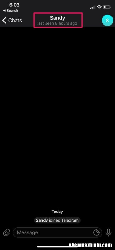 iPhone/iPad教程 如何在Telegram上进行视频通话