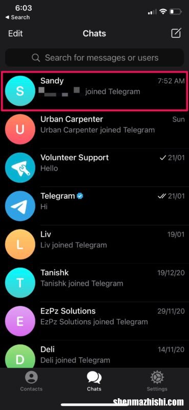 iPhone/iPad教程 如何在Telegram上进行视频通话