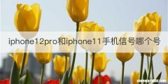 iphone12pro和iphone11手机信号哪个号