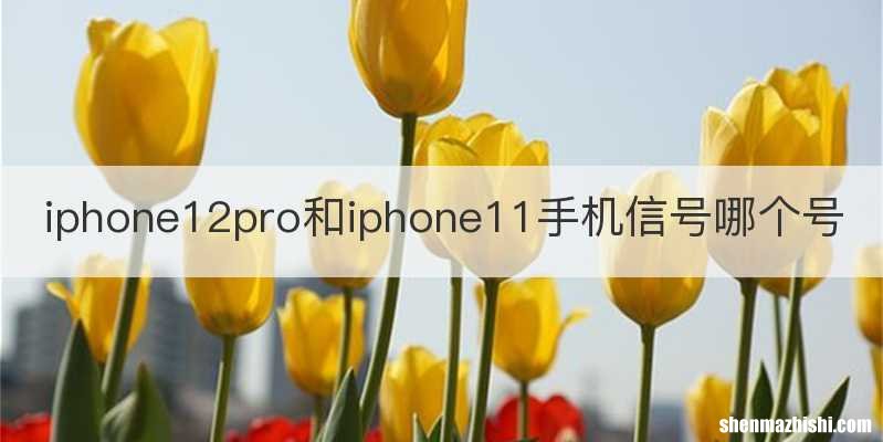 iphone12pro和iphone11手机信号哪个号