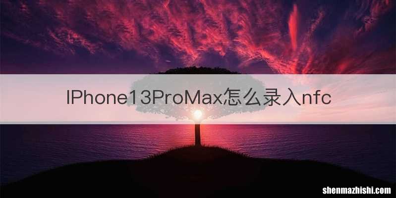 IPhone13ProMax怎么录入nfc