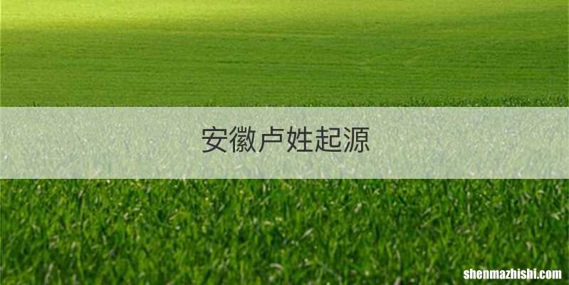 安徽卢姓起源