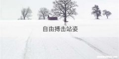 自由搏击站姿