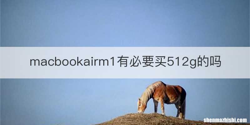 macbookairm1有必要买512g的吗