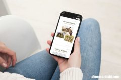 如何在苹果Pages应用程序中使用阅读视图