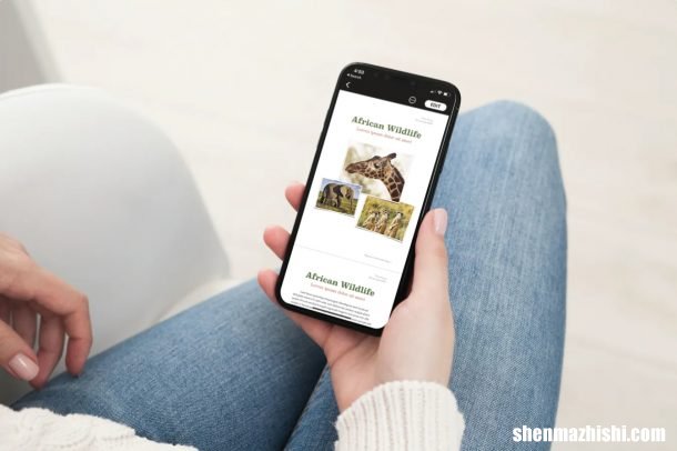 如何在苹果Pages应用程序中使用阅读视图