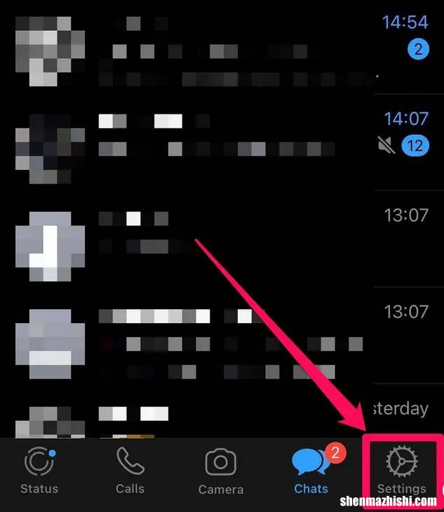 如何在WhatsApp上隐藏在线状态以保护您的隐私