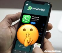 如何在WhatsApp上隐藏在线状态以保护您的隐私