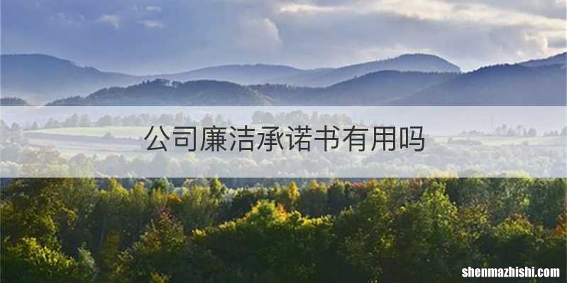 公司廉洁承诺书有用吗
